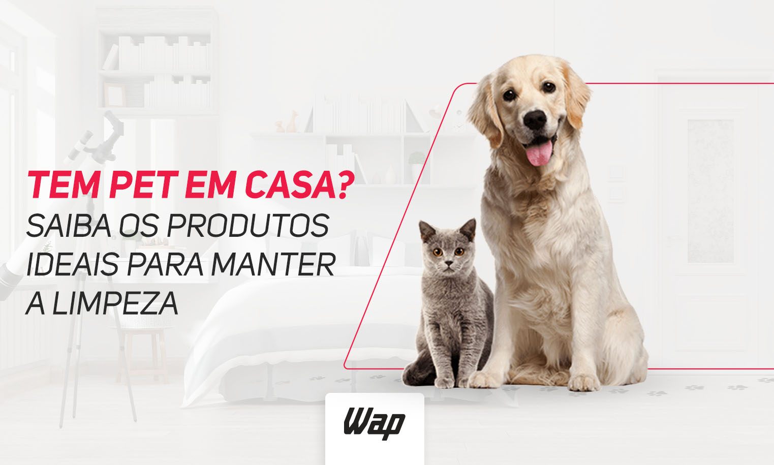 Tem Pet em casa? Saiba os produtos ideais para manter a limpeza. No lado direito estão um gato e um cachorro, ambos sentados de frente para a tela, olhando para você